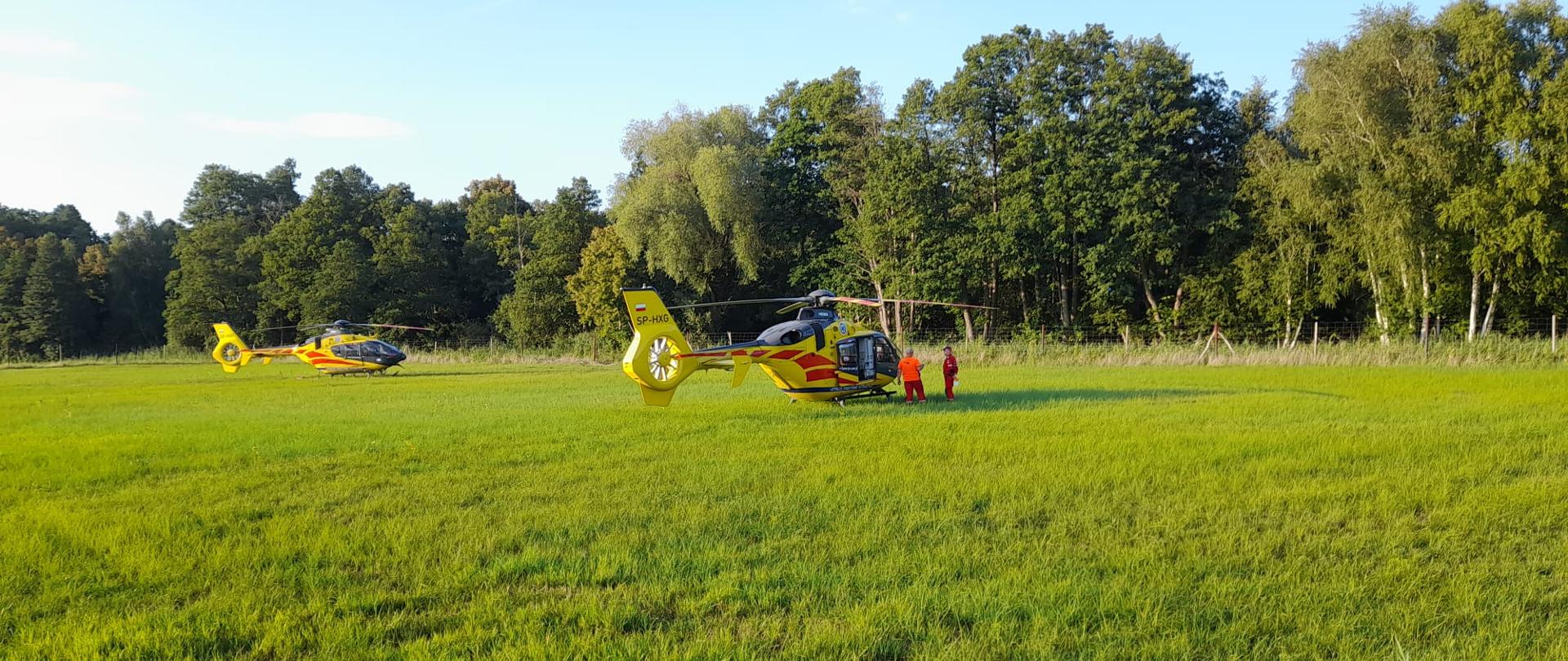 Dwa stojące na łące śmigłowce Lotniczego Pogotowia Ratunkowego