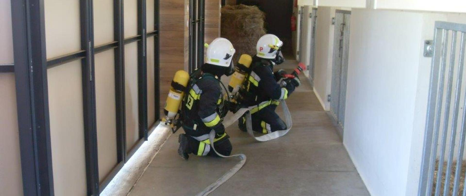 2 klęczących strażaków z wężem strażackim ubrani są w czarne ubranie bojowe , znajdują się w pomieszczeniu 