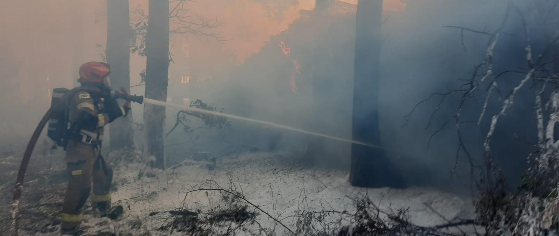 Pożar samochodu ciężarowego i składu drewna strażak gasić w gęstym zadymieniu