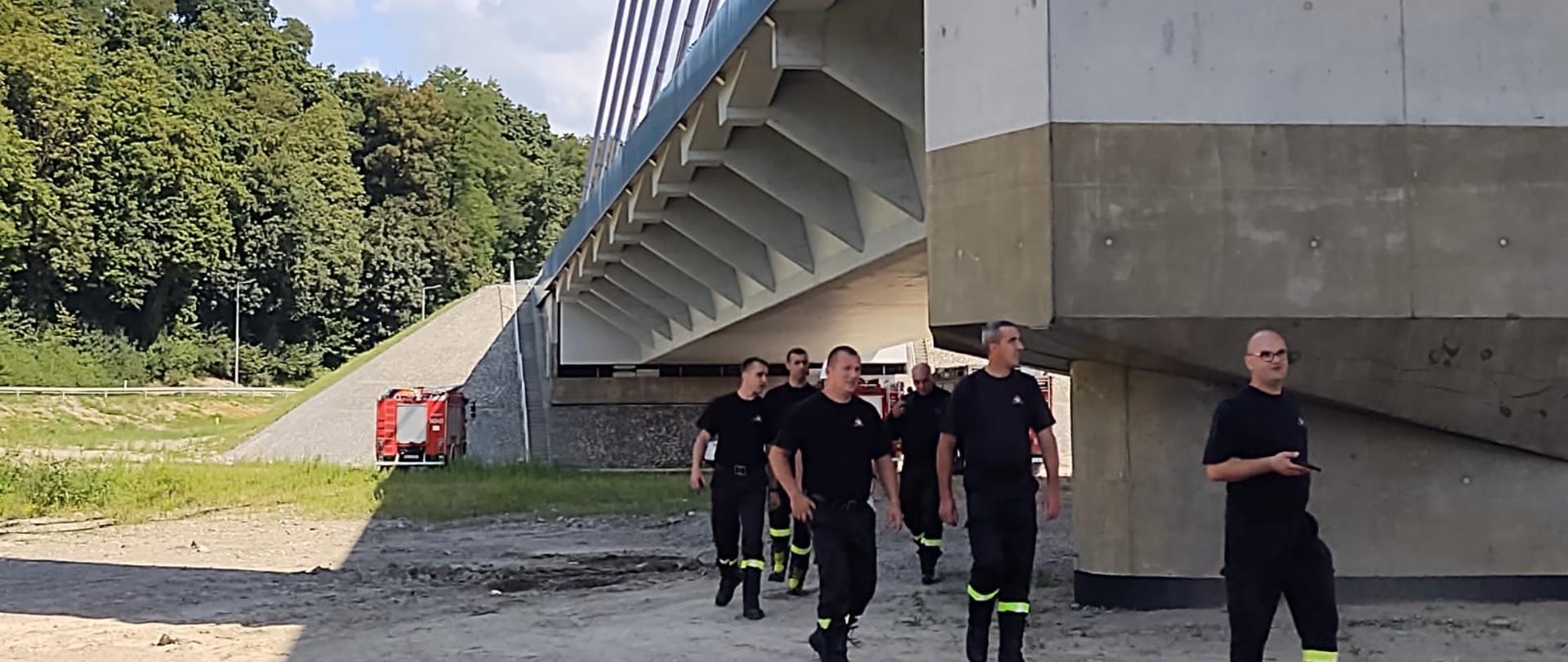 Strażacy przechodzą pod mostem