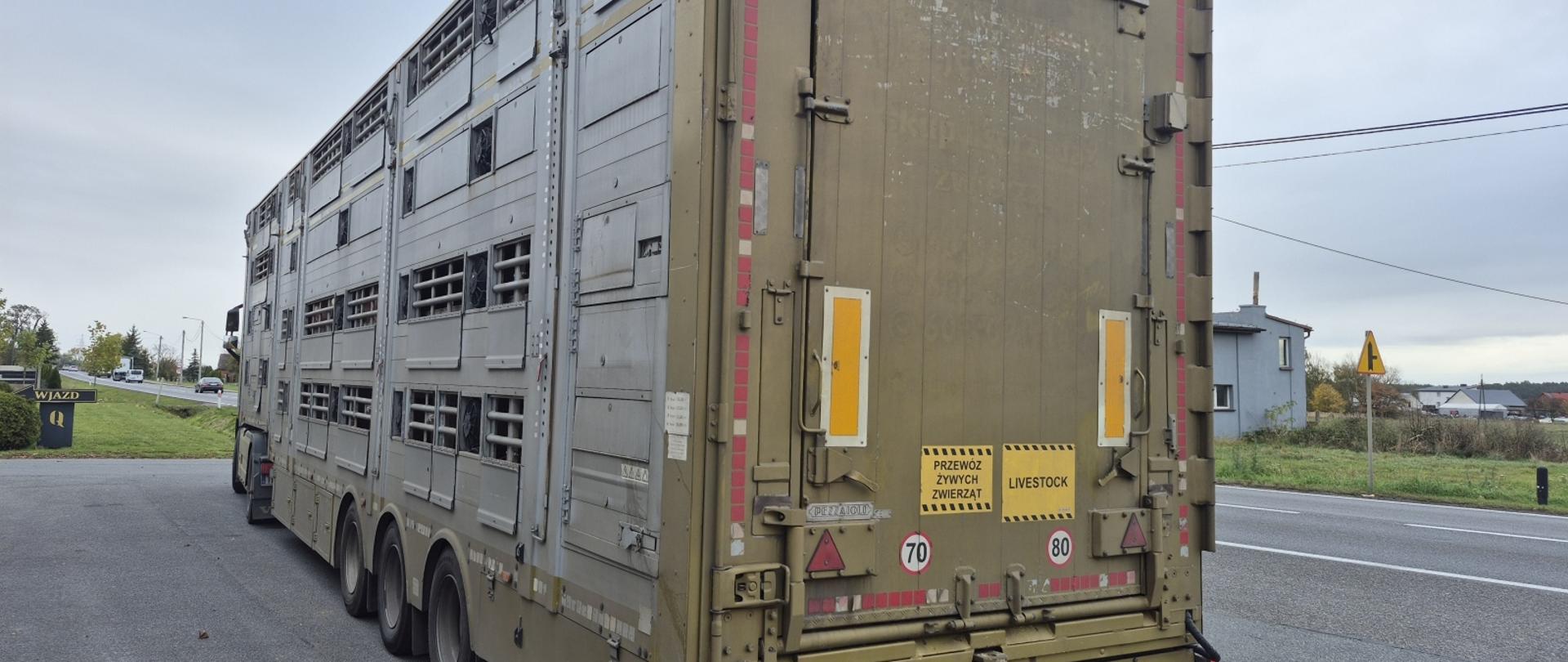 Skontrolowany pojazd przewożący 160 sztuk trzody chlewnej.