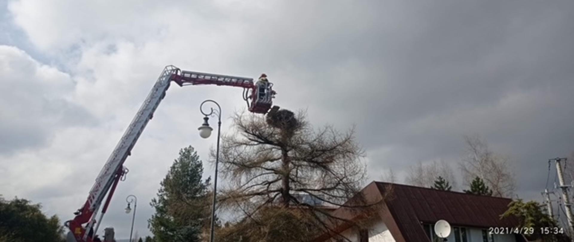 Widok ramienia podnośnika hydraulicznego zmierzającego do gniazda bociana.