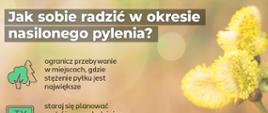 Jak sobie radzić w okresie nasilonego pylenia - format panorama