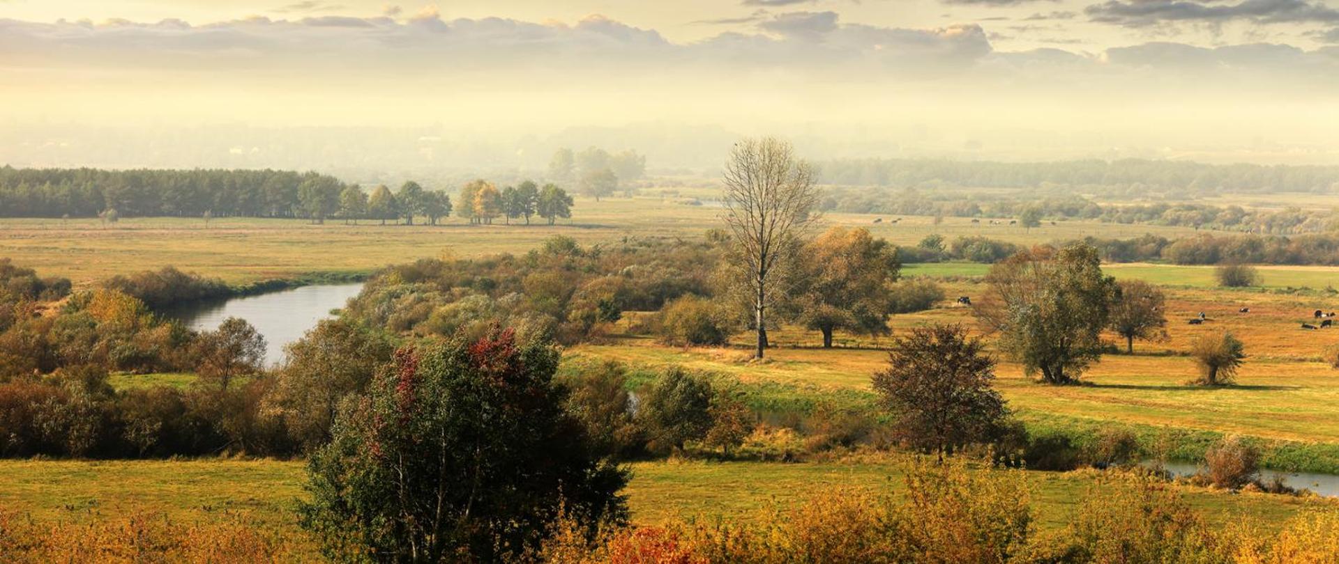 Retencja w praktyce - konkretne działania dla ochrony zasobów wodnych