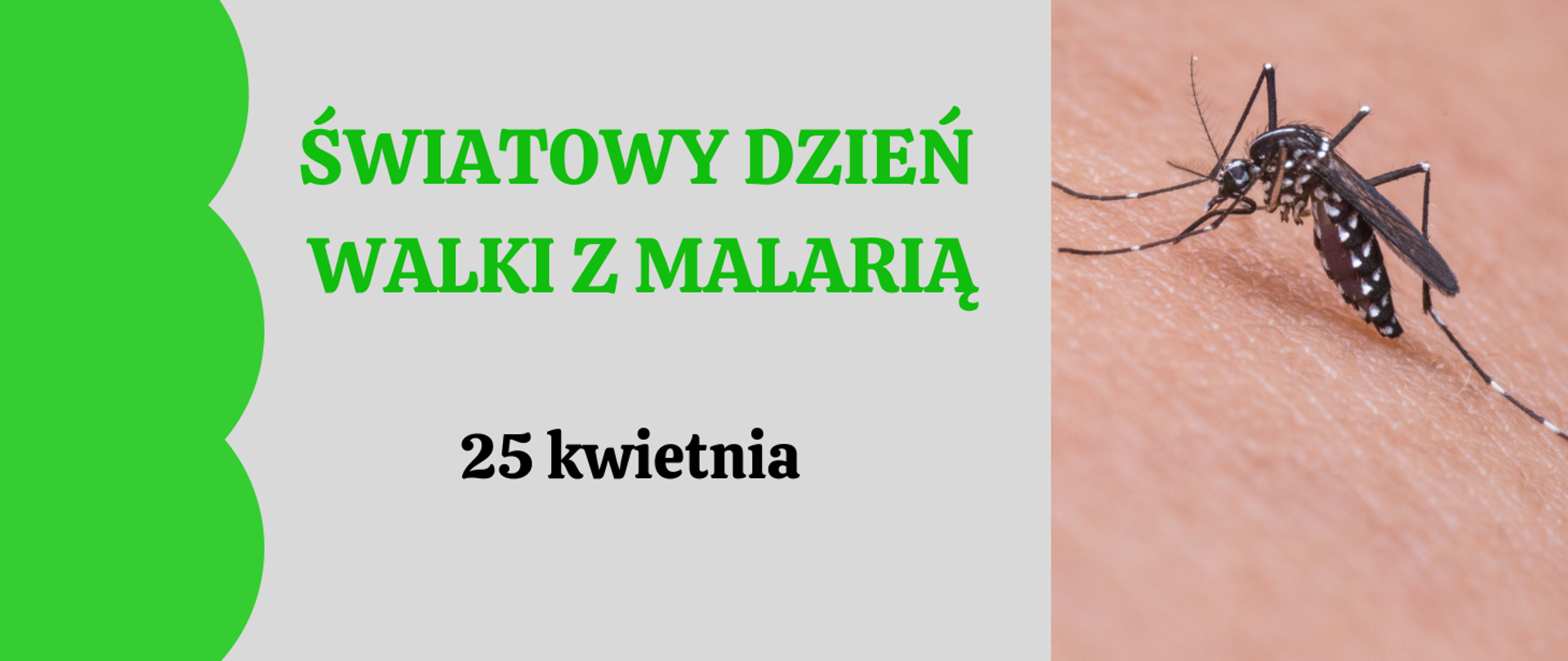 Z lewej strony napis: Światowy Dzień Walki z Malarią. 25 kwietnia. Z prawej strony zdjęcie komara na skórze człowieka.
