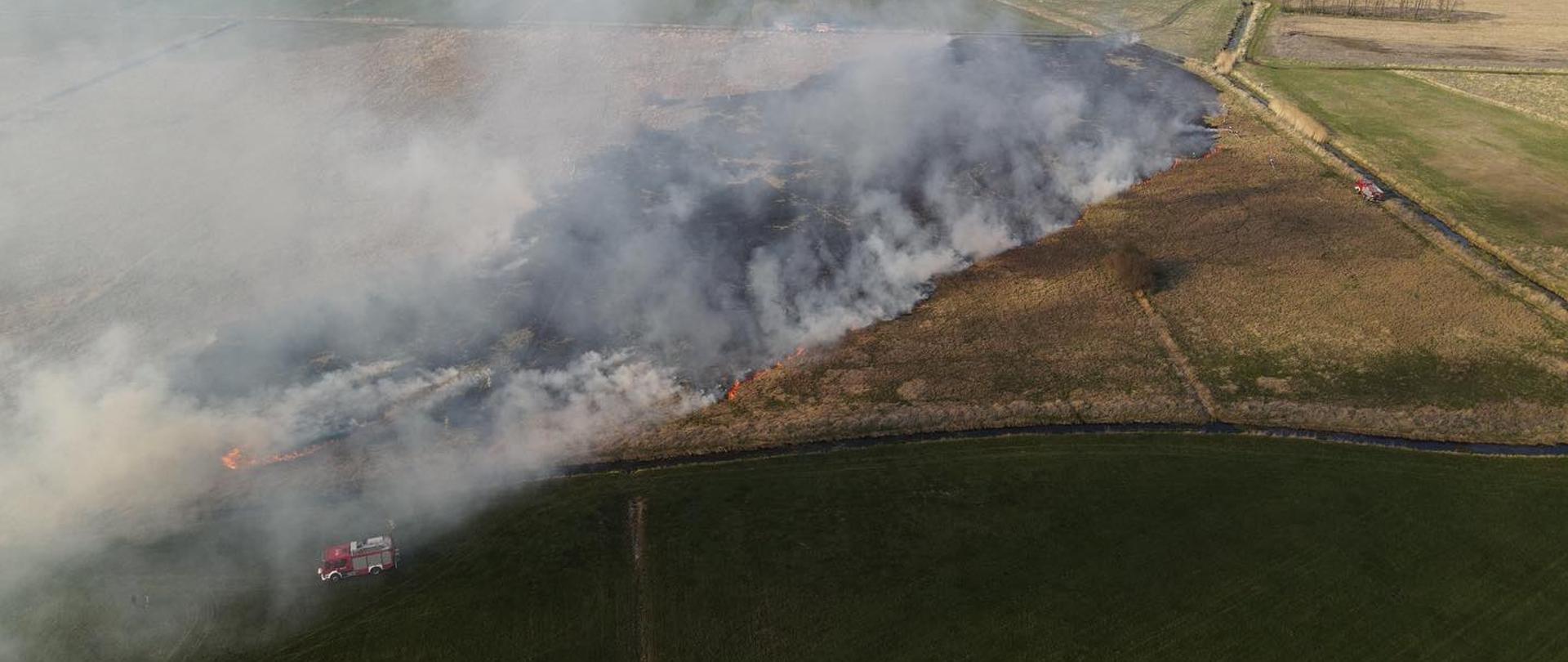 Widoczne miejsce zdarzenia oraz strażaków prowadzących działania gaśnicze.