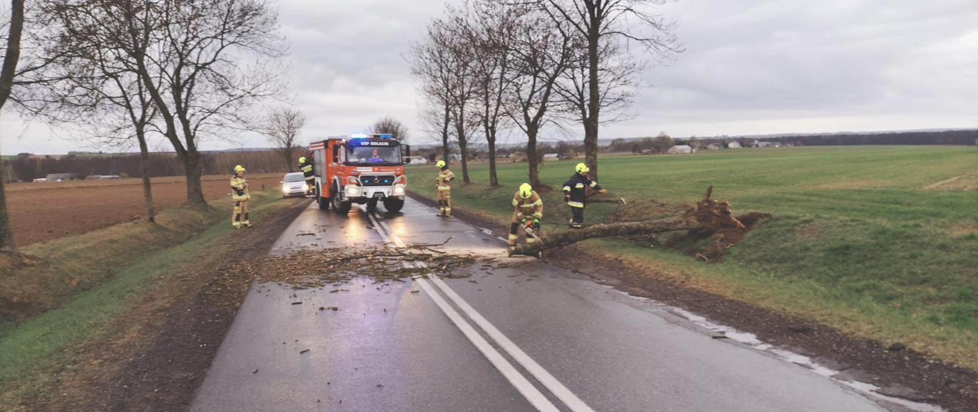 Strażacy usuwają drzewo wyrwane z korzeniami, które upadło na jezdnię między polami. Jeden z ratowników tnie pień pilarką. Na drodze stoi wóz strażacki marki Mercedes z włączonymi światłami ostrzegawczymi.