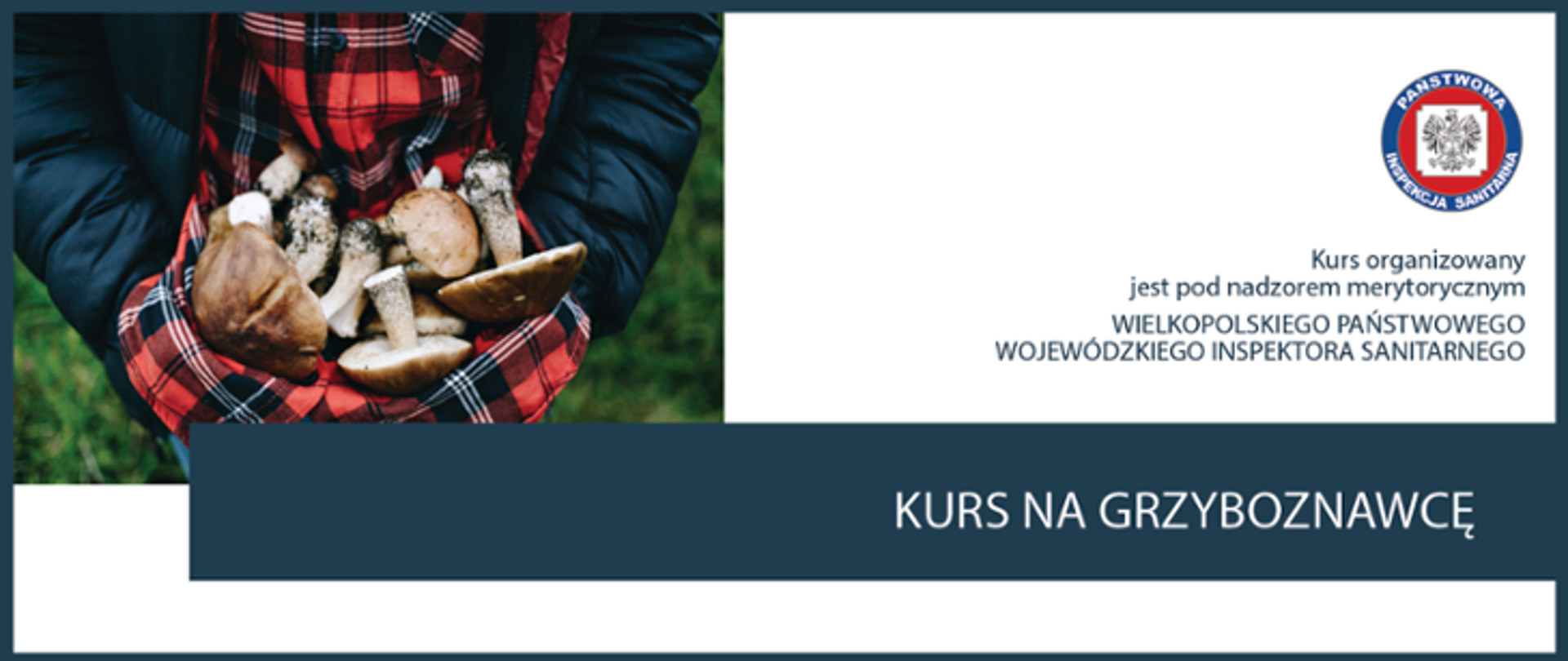Po lewej stronie grafiki widoczne są grzyby trzymane przez osobę. Po prawej stronie na białym tle widnieje logo Państwowej Inspekcji Sanitarnej oraz napis: Kurs organizowany jest pod nadzorem merytorycznym WIELKOPOLSKIEGO PAŃSTWOWEGO WOJEWÓDZKIEGO INSPEKTORA SANITARNEGO. Poniżej na granatowym pasku jest napisane: KURS NA GRZYBOZNAWCĘ.