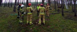 Zdjęcie przedstawia strażaków w lesie podczas ćwiczeń. Instruktor omawia techniki usuwania skutków silnych wiatrów i nawałnic. 