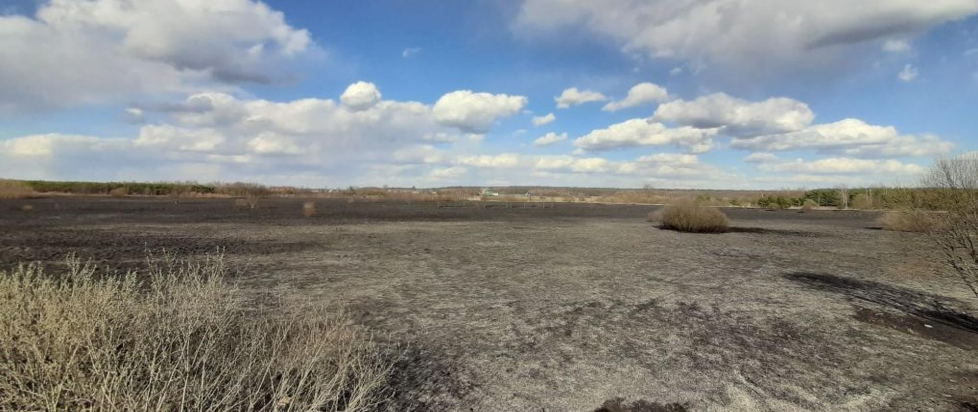 Pod lekko zachmurzonym niebieskim niebem olbrzymie połacie wypalonej trawy.