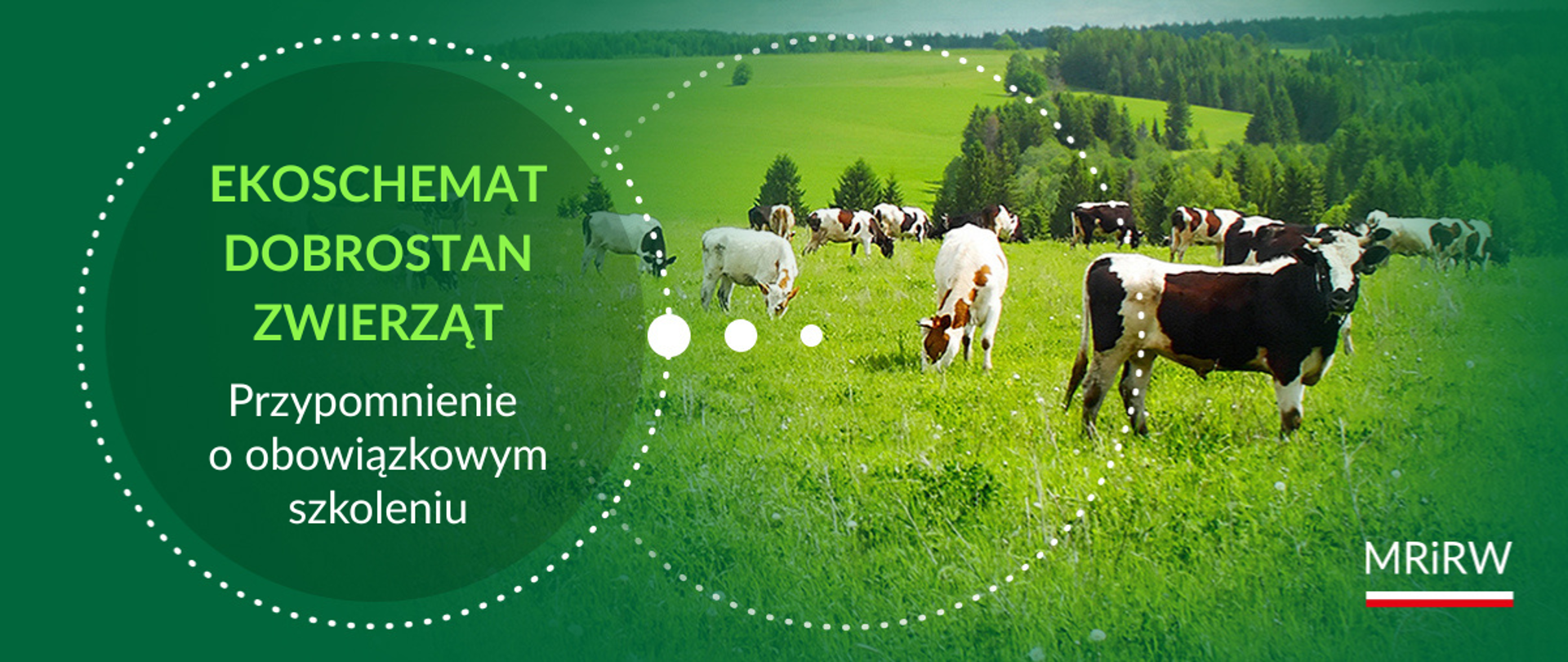 Metody ograniczające stosowanie antybiotyków w produkcji zwierzęcej – przypomnienie o obowiązkowym szkoleniu dla beneficjentów ekoschematu Dobrostan zwierząt