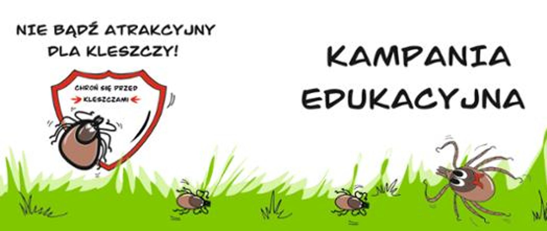 Nie bądź atrakcyjny dla kleszczy