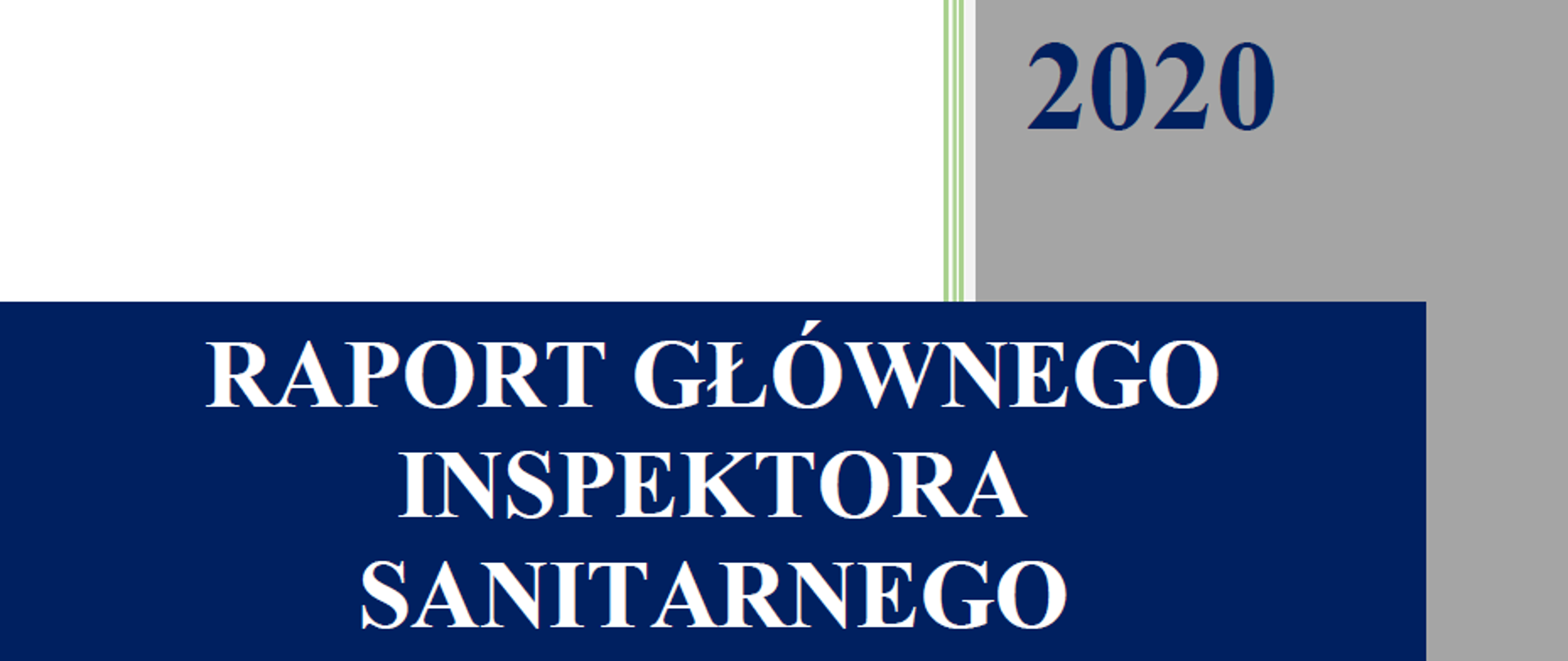 raport_2020