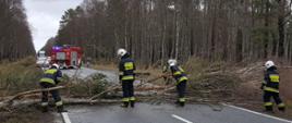 Porywisty wiatr w powiecie szczecineckim - drzewo przewrócone w poprzek drogi wojewódzkiej 201 , droga zablokowana całkowicie. Strażacy ubrani w ubrania specjalne koloru granatowego przy pomocy pilarek spalinowych przecinają drzewo na kawałki i usuwają z drogi.
