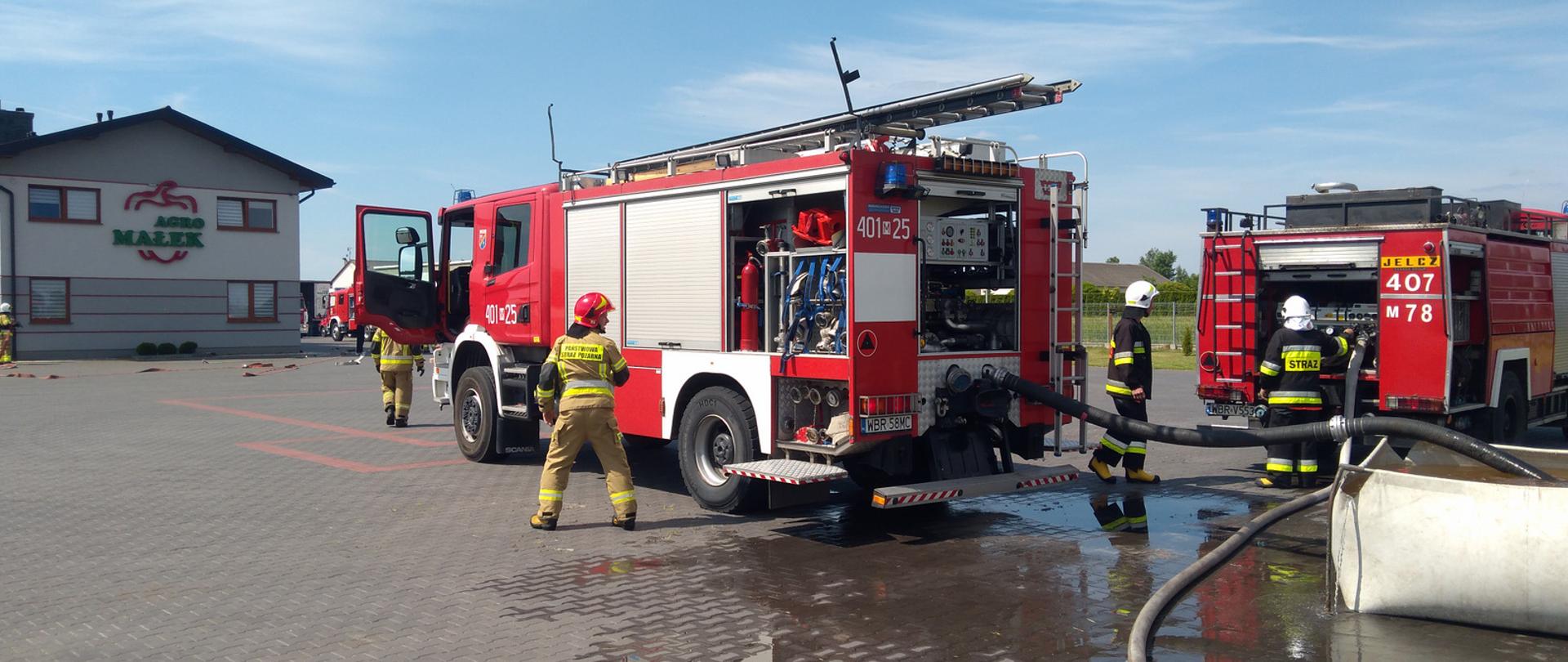 Ćwiczenia w Czarnocinie