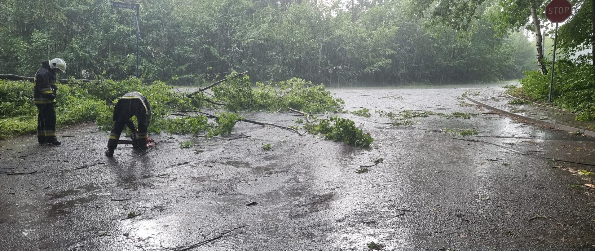 Usuwanie skutków silnych wiatrów