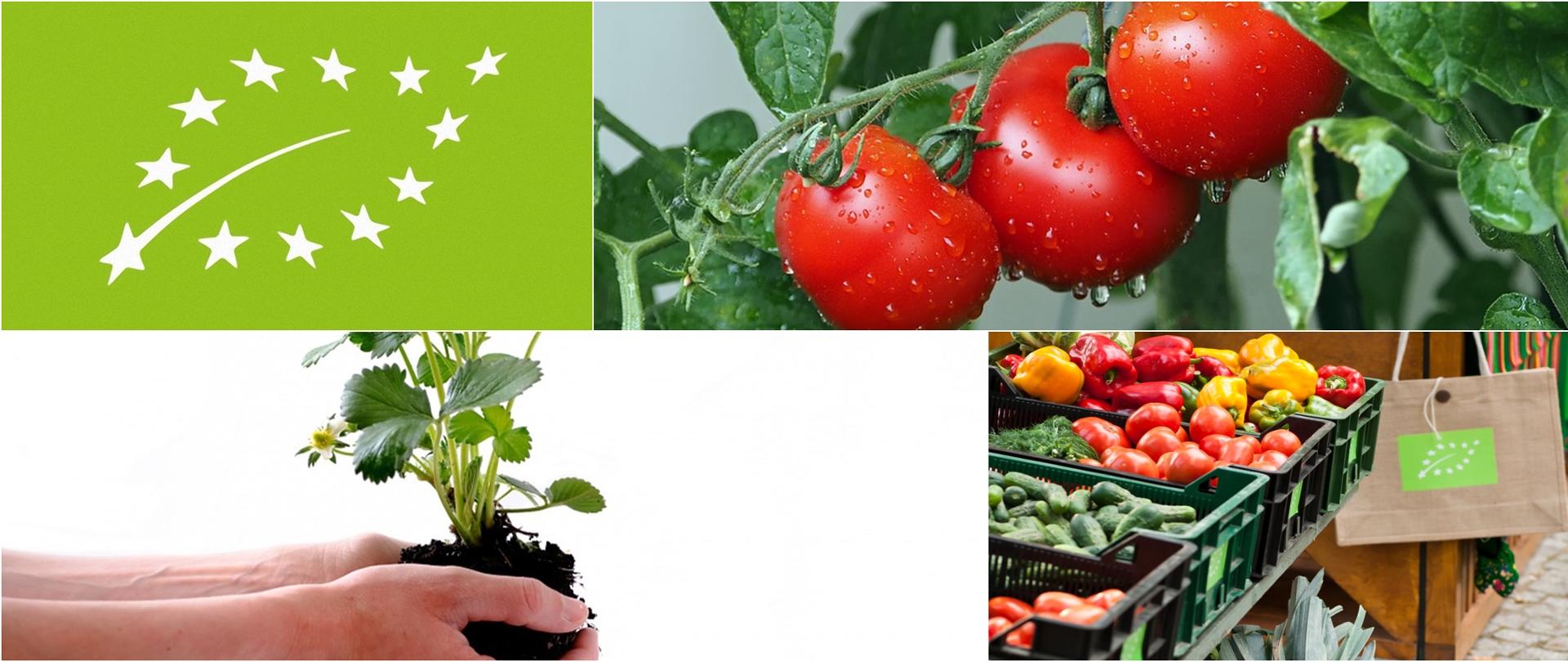 Kolaż - rolnictwo ekologiczne