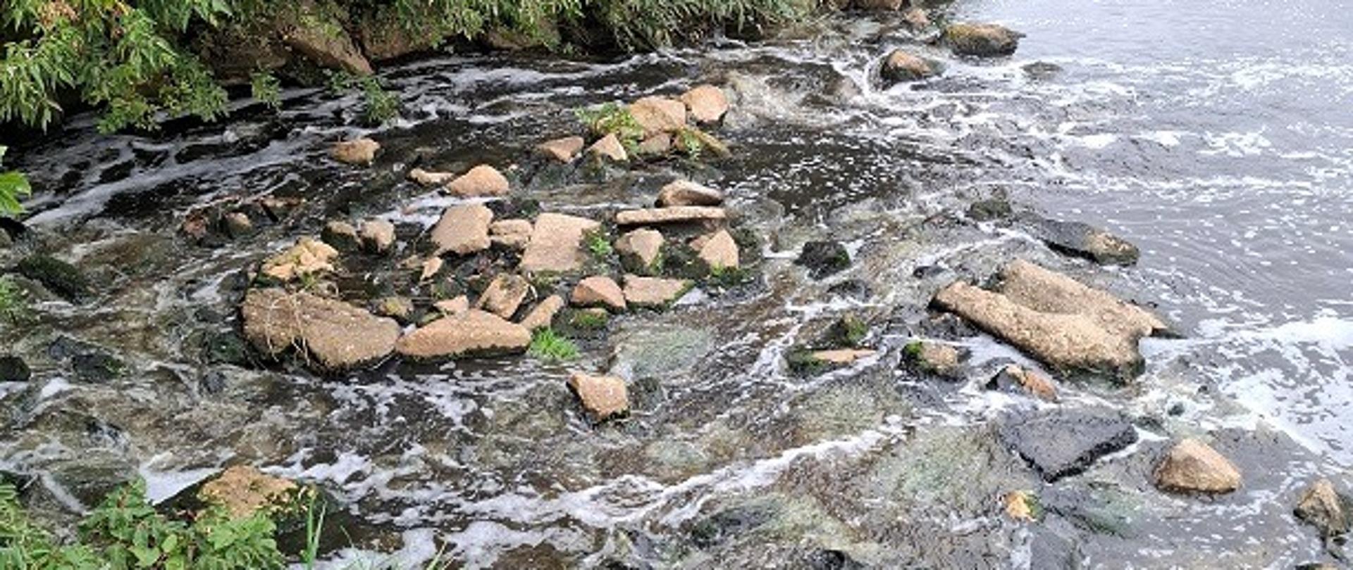 Ścieki oczyszczone na oczyszczalni płynące z kolektora do rzeki San. 