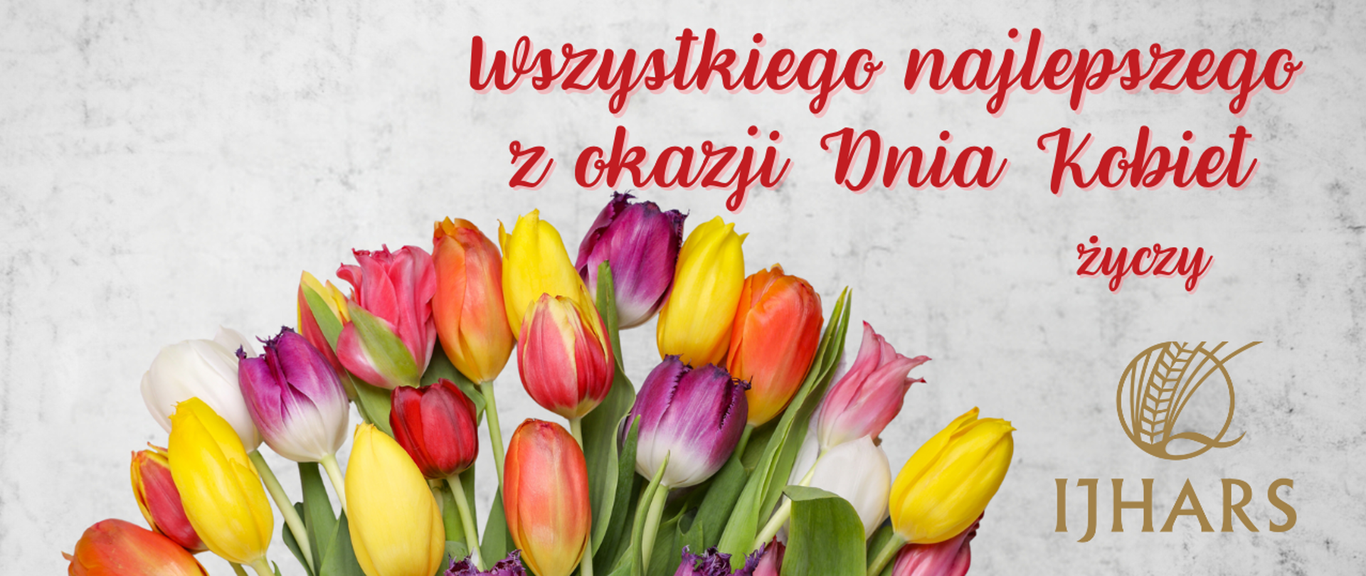 bukiet tulipanów i nad nim napis: Wszystkiego najlepszego z okazji Dnia Kobiet życzy IJHARS