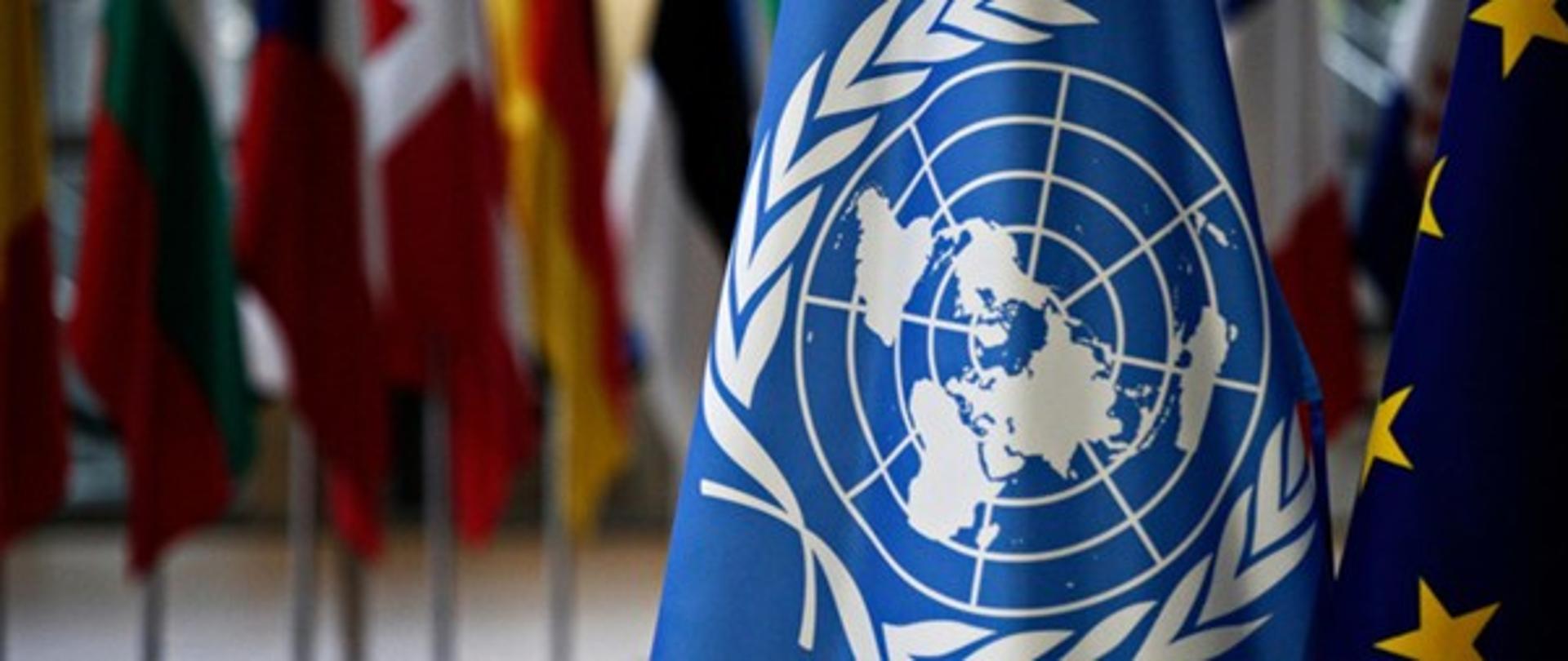 flaga UNIDO