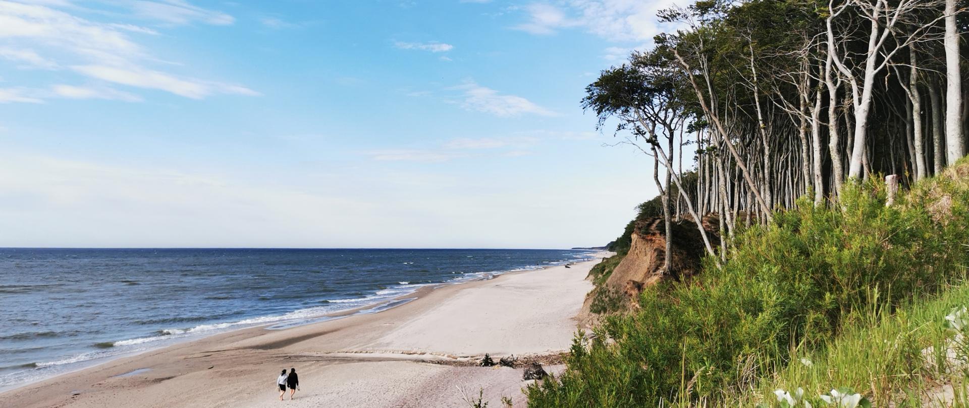 plaża nadmorska, z prawej strony klif porośnięty drzewami, na plaży widać w oddali spacerującą parę. 