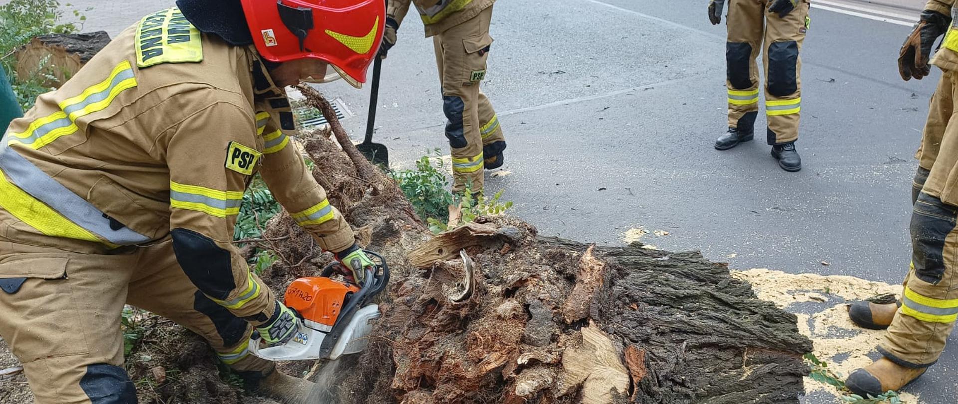 Strażak z pilarką w ręku w trakcie przecinania pnia drzewa. 