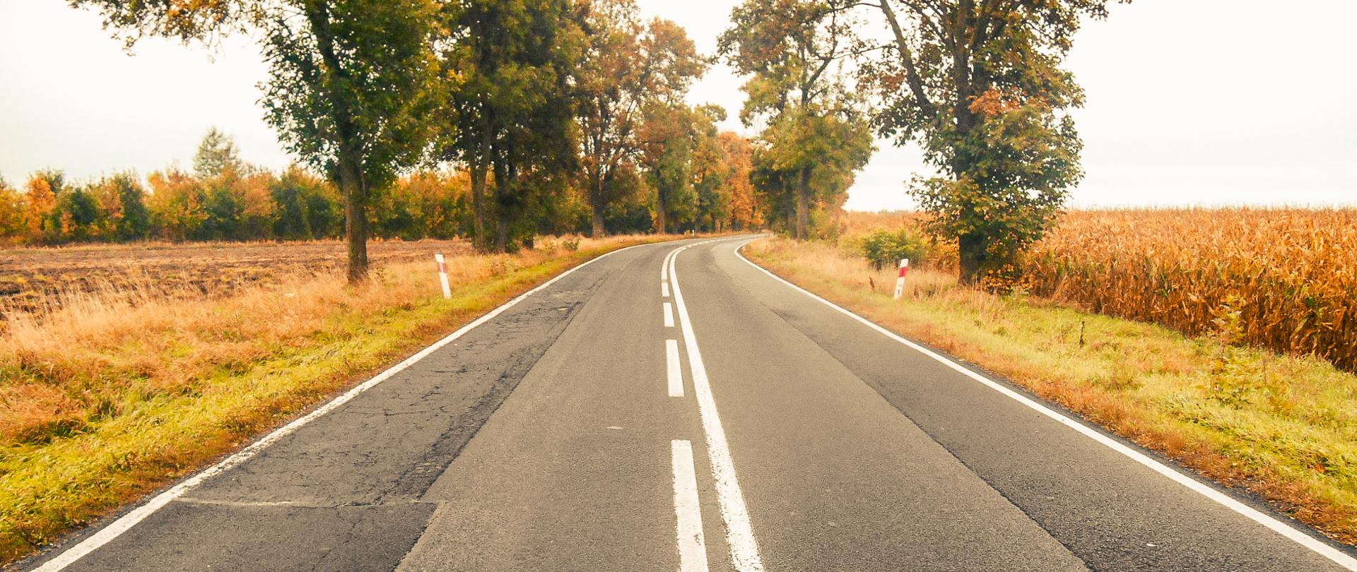 Rozbudowa 7,7 km drogi krajowej nr 46 pomiędzy Lelowem a Nakłem.