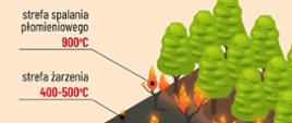 INFOGRAFIKA NA TEMAT POŻARÓW LASU