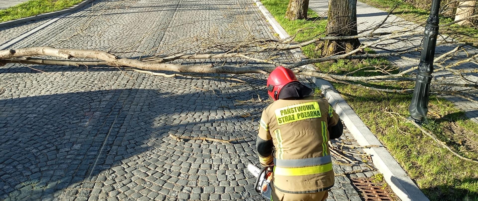 Zdjęcie przedstawia strażaka Komendy Powiatowej Państwowej Straży Pożarnej w Gołdapi wyposażonego w pilarkę do drewna przed momentem usunięcia powalonego drzewa blokującego drogę publiczną