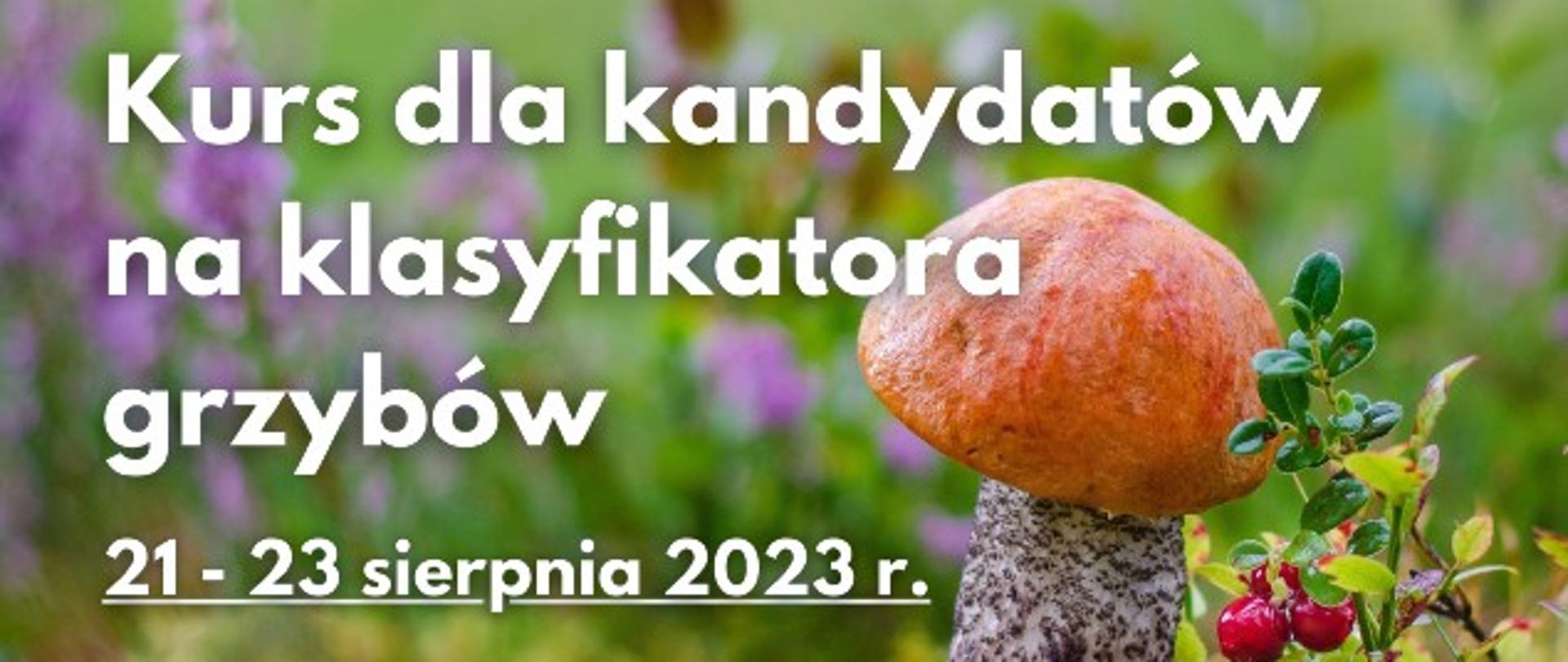 Ulotka zawierająca informacje na temat: "Kurs dla klasyfikatorów grzybów 21-23 sierpnia 2023 r."