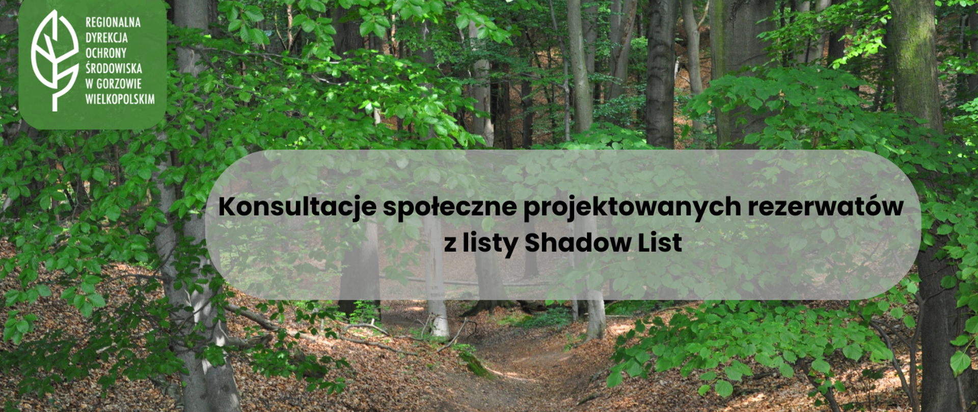 W tle zdjęcie lasu. Na pierwszym planie napis: Konsultacje społeczne projektowanych rezerwatów z listy Shadow List. W lewym górnym rogu biały liść i napis Regionalna Dyrekcja Ochrony Środowiska w Gorzowie Wielkopolskim
