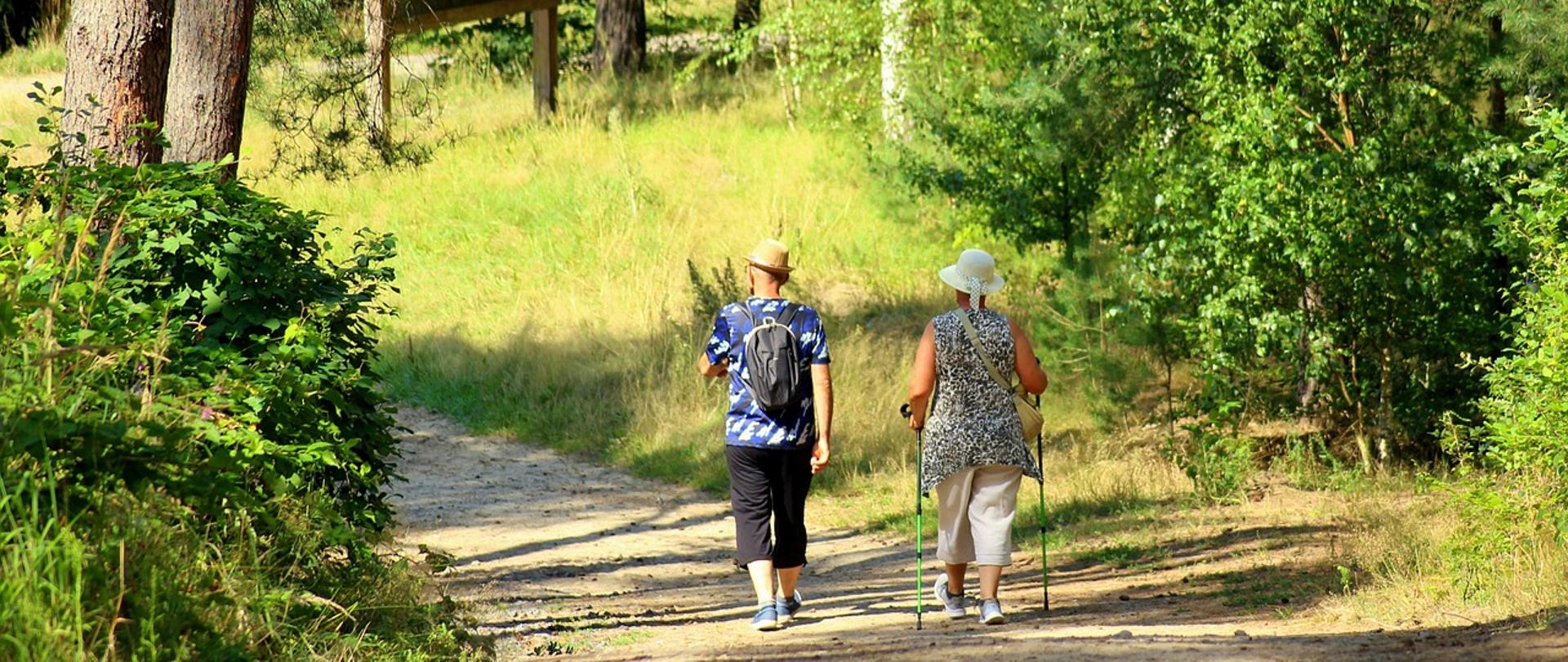 Dwoje ludzi, kobieta i mężczyzna, tyłem do nas. Idą ścieżką w lesie, kobieta ma kijki trekkingowe.