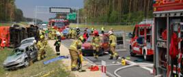 Strażacy PSP i OSP prowadzą działania, ewakuują oraz udzielają kwalifikowanej pierwszej pomocy podczas ćwiczeń związanych z wypadkiem masowym. Ćwiczenia na budowanej drodze S11 koło Olesna. W tle widoczne pojazdy pożarnicze ustawione na jezdni."
