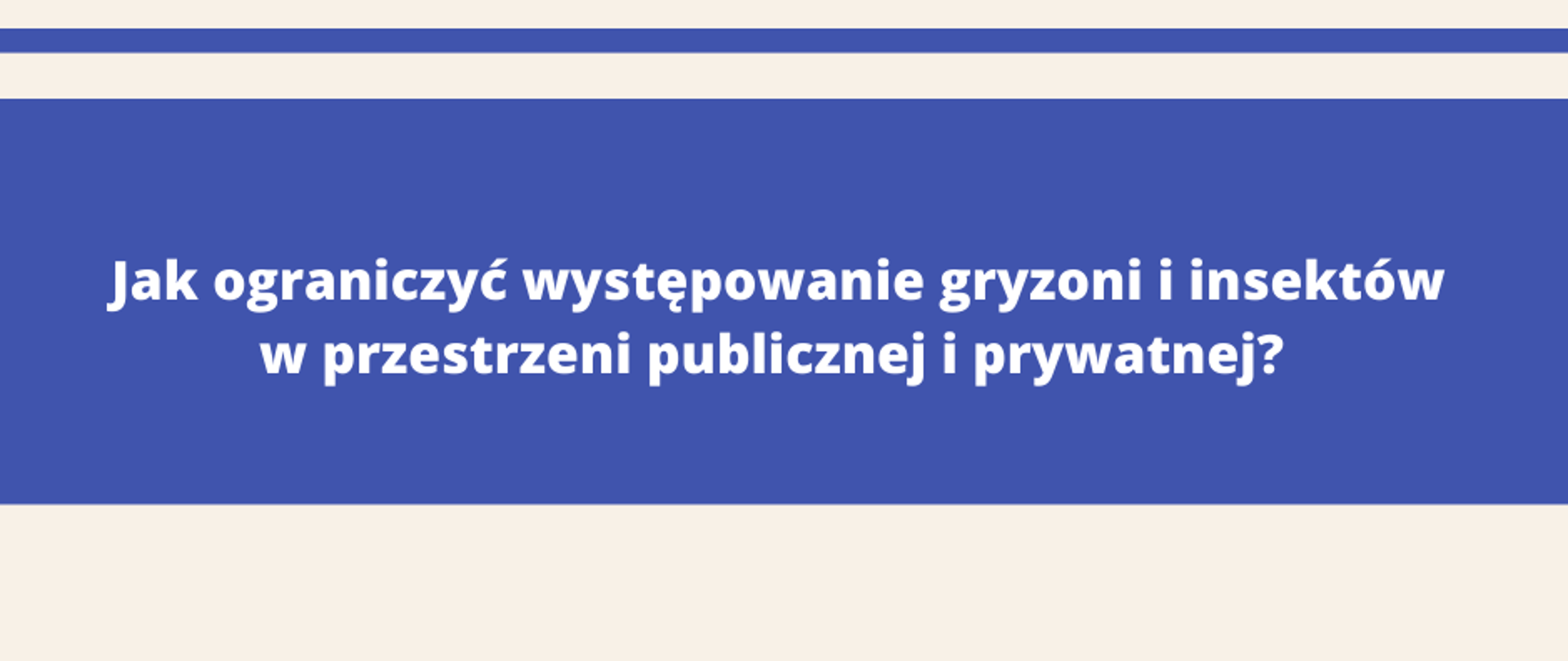 Jak ograniczyć występowanie gryzoni i insektów w przestrzeni publicznej i prywatnej