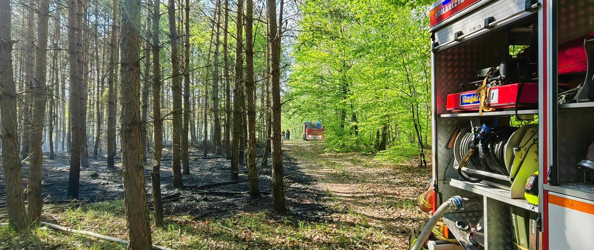 Pożar lasu - Toporów