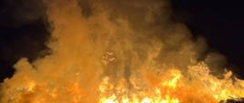 Zdjęcie przedstawia palącą się biomasę. Nad stertą widać dużo płomieni oraz dymu. 