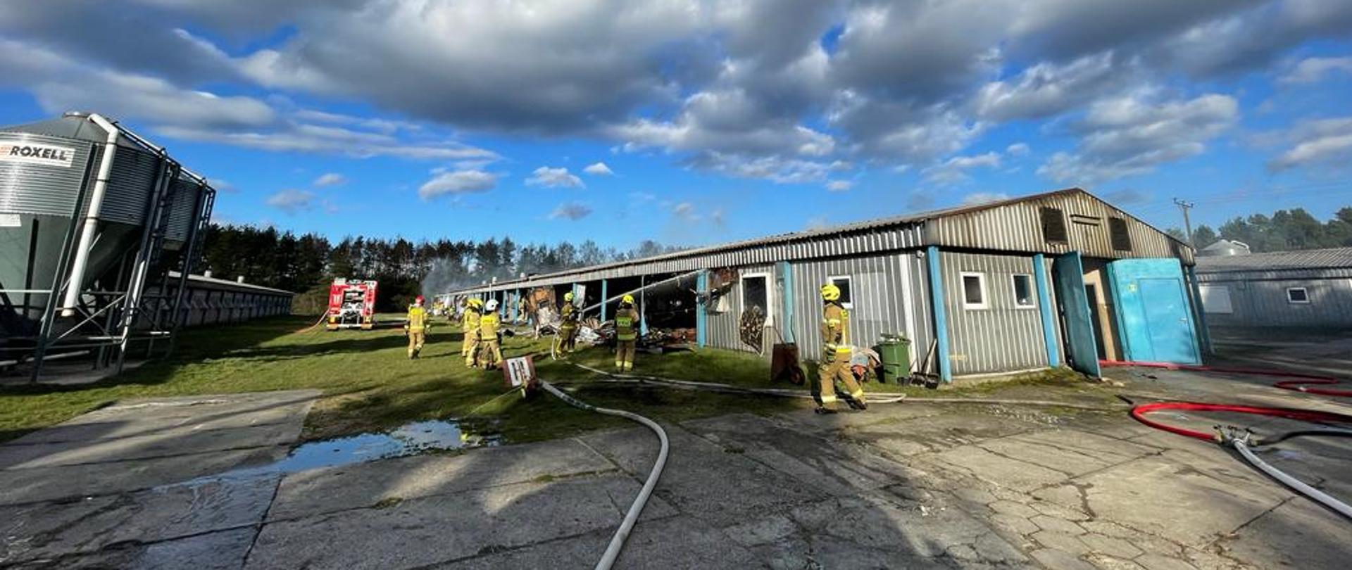 Teren działań prze kurnikiem, w którym doszło do pożaru.