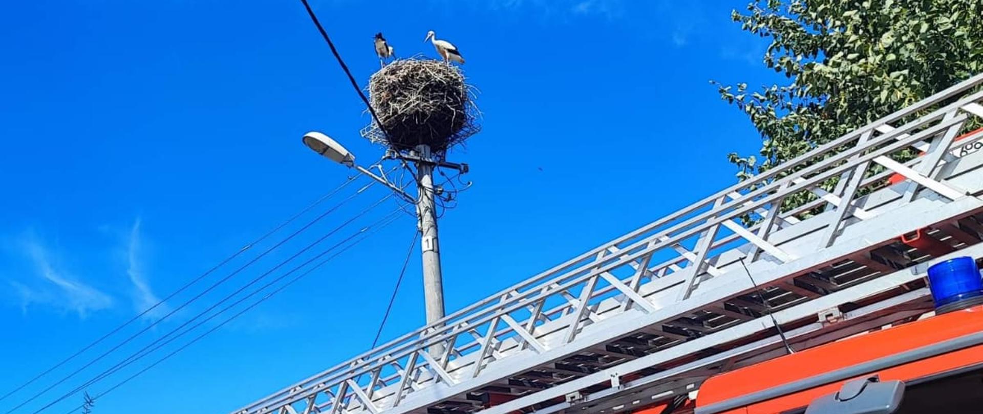 NA RATUNEK BOCIANOWI