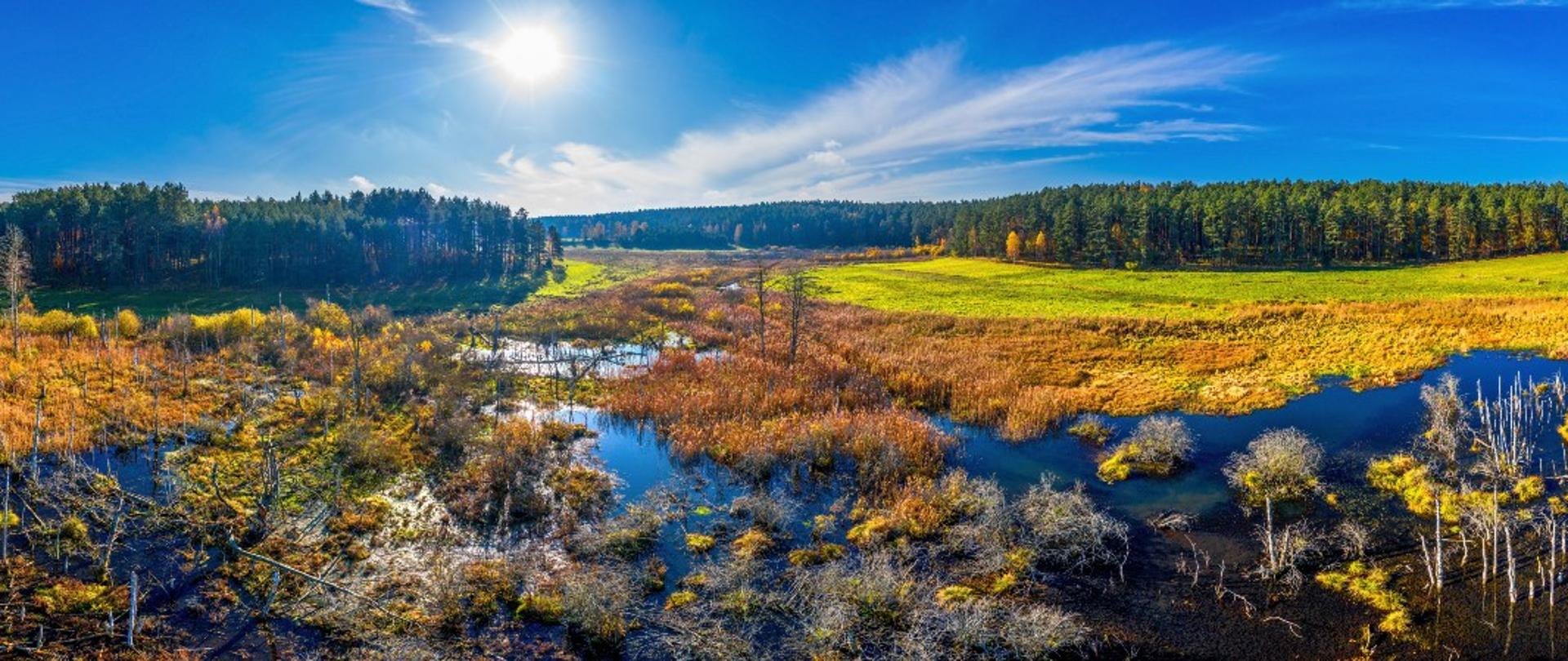 widok z lotu ptaka na mokradła w północno-wschodnie Polsce 