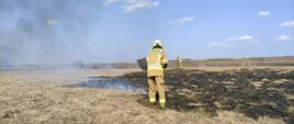 Pożary traw na nieużytkach rolnych w powiecie kazimierskim