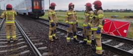 Szlak kolejowy Rawicz-Wrocław. Na torowisku znajduje sie 5 strażaków uczestniczących w akcji. Maja na sobie ubrania specjalne i czerwone hełmy. Z prawej strony widoczny jest czerwony parawan zabezpieczający, a w tle tył pociągu.