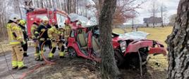 Na poboczu drogi przy drzewie jest samochód osobowy po wypadku, grupa strażaków stoi obok tego auta, jeden z nich rozgina konstrukcję pojazdu przy użyciu narzędzi hydraulicznych. W tle stoi samochód pożarniczy