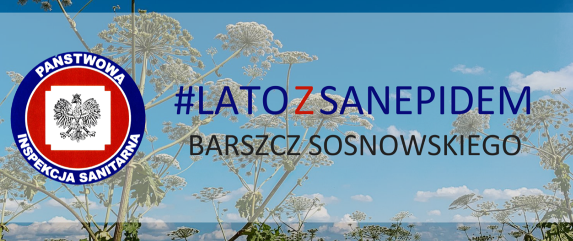 Z przodu fotografii widoczne logo Państwowej Inspekcji Sanitarnej obok loga widoczny napis #latozsanepidem Barszcz Sosnowskiego, w tle fotografii widoczna roślina - barszcz sosnowskiego.