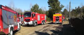 Widoczne liczne pojazdy gaśnicze oraz strażaków, w okolicy pożaru trawy i altany