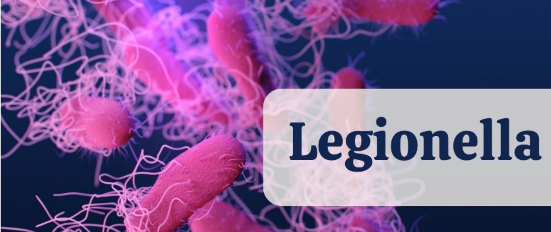 Legionella