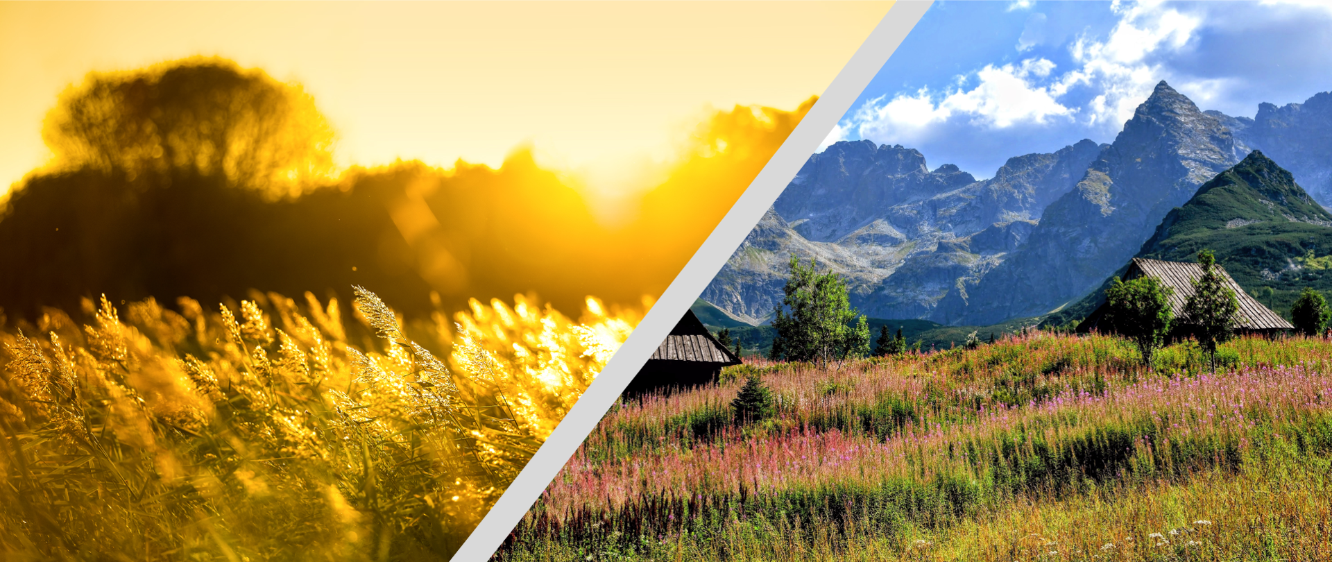 Baner składa się z dwóch zdjęć, które w konkursie zajęły I miejsce. Po lewej stronie znajduje się zdjęcie, na którym widać wysokie trawy pochylone na wietrze. Przy zachodzącym słońcu mają złoty kolor. W oddali widać ciemny kontur drzew lub krzewów. Po prawej stronie zdjęcie pasma górskiego. Na pierwszym planie drewniane górskie chatki stojące na polanie. Polana porośnięta jest kwiatami o różowo - fioletowej barwie. W oddali na tle niebieskiego nieba widać potężne góry. 