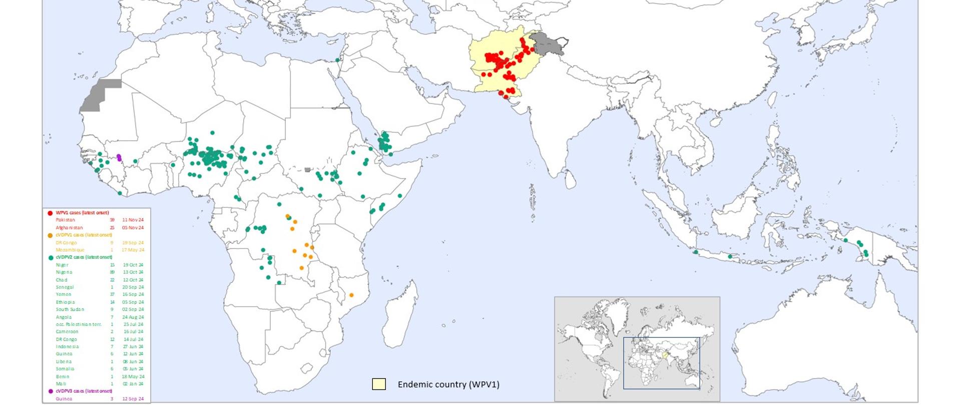 Grafika przedstawiająca mapę występowania przypadków polio wywołanych WPV1 oraz cVDPV w okresie ostatnich 12 miesięcy. Żródło: WHO