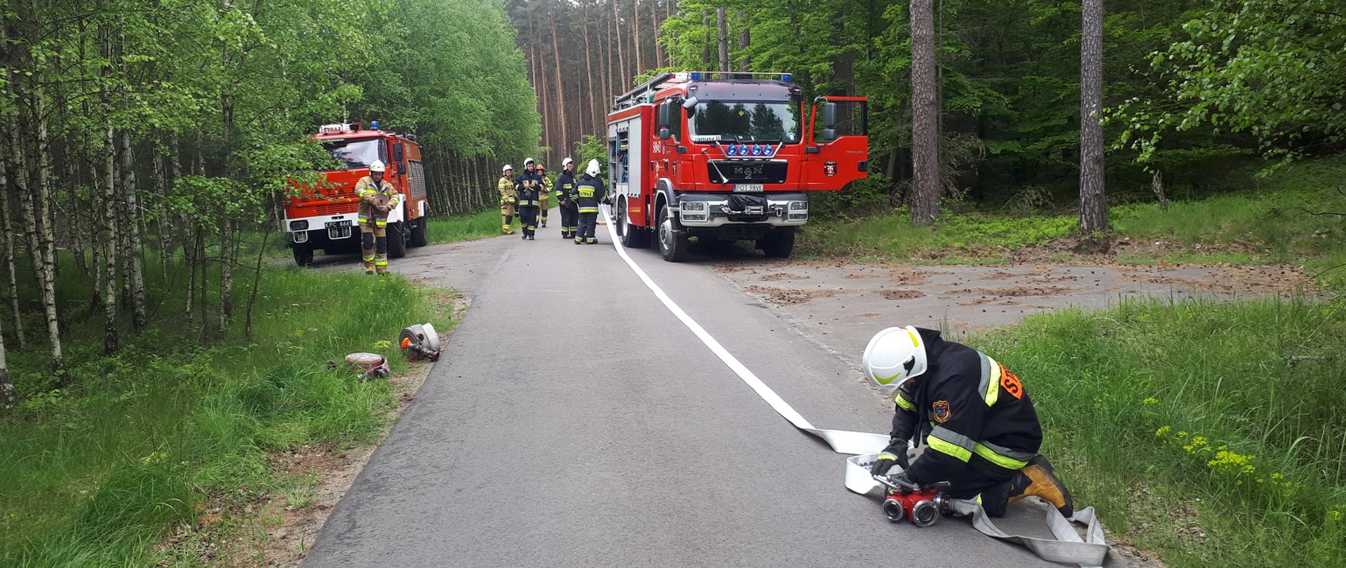 Na pierwszym planie strażak w ubraniu specjalnym podłączający węże do rozdzielacza. Na drugim planie wozy strażackie ustawione frontem do fotografa. Zdjęcie wykonane w lesie na drodze utwardzonej. W tle drzewa.