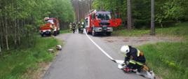 Na pierwszym planie strażak w ubraniu specjalnym podłączający węże do rozdzielacza. Na drugim planie wozy strażackie ustawione frontem do fotografa. Zdjęcie wykonane w lesie na drodze utwardzonej. W tle drzewa.