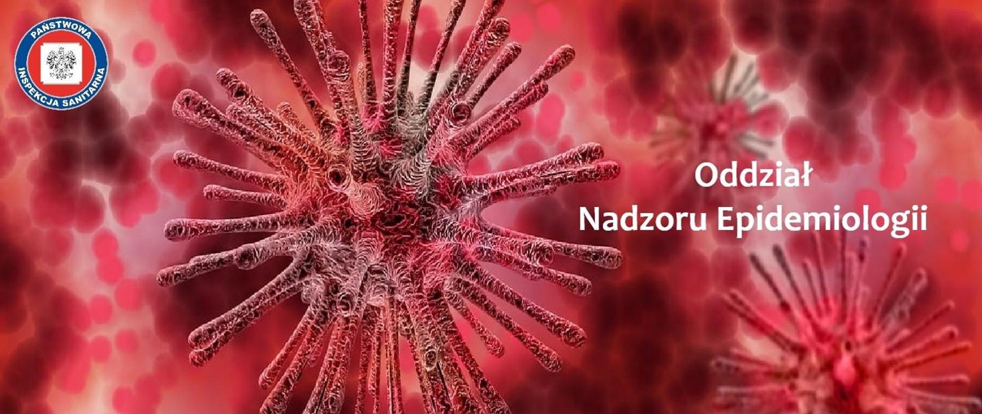 Zdjęcie wirusa pod mikroskopem oraz napis: Oddział Nadzoru Sanitarnego 